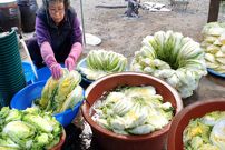 ببینید؛ غذای روستایی در کره؛ درست کردن کیمچی در روستایی سرسبز