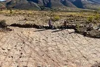 16 هزار ردّپا؛ دایناسورها 66 میلیون سال قبل در اینجا می‌دویدند