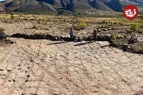 16 هزار ردّپا؛ دایناسورها 66 میلیون سال قبل در اینجا می‌دویدند