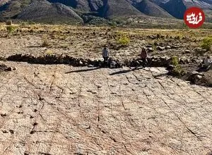 16 هزار ردّپا؛ دایناسورها 66 میلیون سال قبل در اینجا می‌دویدند