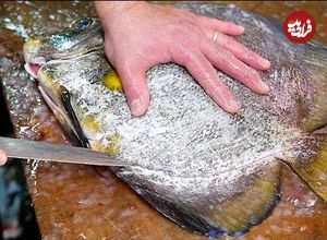 ببینید| غذای خیابانی در ژاپن؛ پخت کتلت با خفاش ماهی در اوکیناوا