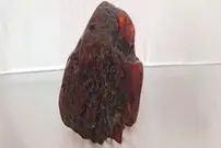 عکس| سنگی که به ظاهر بی‌ارزش بود، میلیون‌دلاری قیمت خورد!