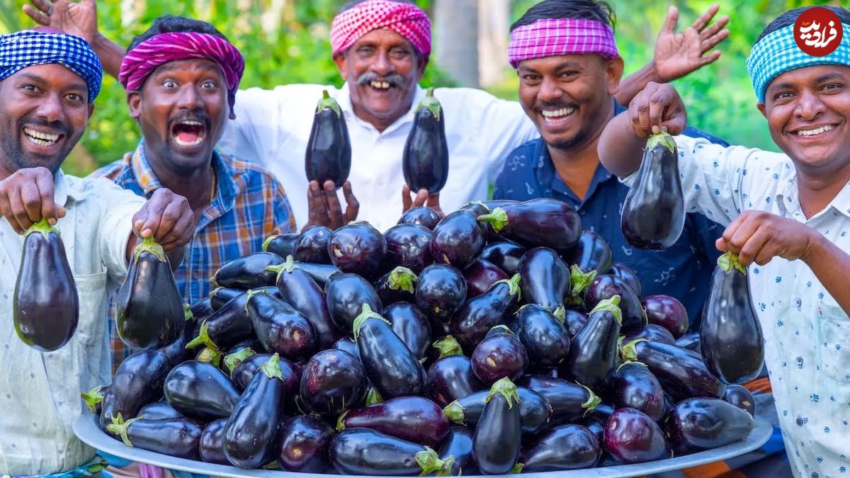 (ویدئو) ببینید این چند مرد روستایی هندی چگونه با بادمجان یک غذای خوشمزه طبخ می کنند