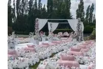 (ویدیو) تم عجیب یک مراسم ازدواج در شیراز سوژه شد