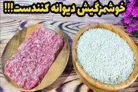 ببینید| طرز تهیه یک غذای ساده و سریع با برنج و گوشت چرخ کرده