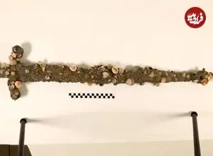 کشف اتفاقی «شمشیر 800 ساله» در هنگام شنا در دریا