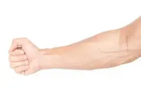 سفر به اعماق ساعد انسان؛ کالبدشکافی لایه به لایه شاهکار مهندسی بدن + اینفوگرافیک