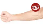 سفر به اعماق ساعد انسان؛ کالبدشکافی لایه به لایه شاهکار مهندسی بدن + اینفوگرافیک