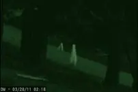 (عکس) این موجودات وحشتناک کنار ما زندگی می‌کنند و ما نمی‌بینیم!