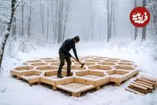 ببینید| مراحل دیدنی ساخت یک کلبه کندویی در اعماق جنگل در امریکا