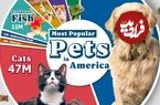 (اینفوگرافیک) فهرست محبوب‌ترین حیوانات خانگی در آمریکا