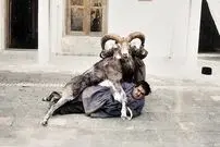 (تصاویر) سفر به عصر قاجار؛ «شکارهایی که صید شصت مبارک شدند»