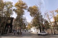 تصاویر؛ محله تهران که محصولش از زعفران به برج رسید