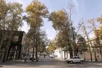 تصاویر؛ محله تهران که محصولش از زعفران به برج رسید