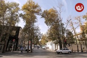 تصاویر؛ محله تهران که محصولش از زعفران به برج رسید