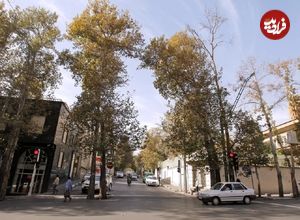 تصاویر؛ محله تهران که محصولش از زعفران به برج رسید
