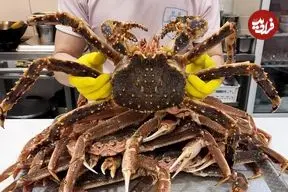 ببینید| غذای خیابانی در کره؛ پخت غذا با شاه خرچنگ، لابستر و خرچنگ برفی در سئول