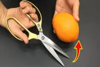 (ویدئو) پرتقال را به این روش برش بزنید و برای مهمانی آماده کنید!
