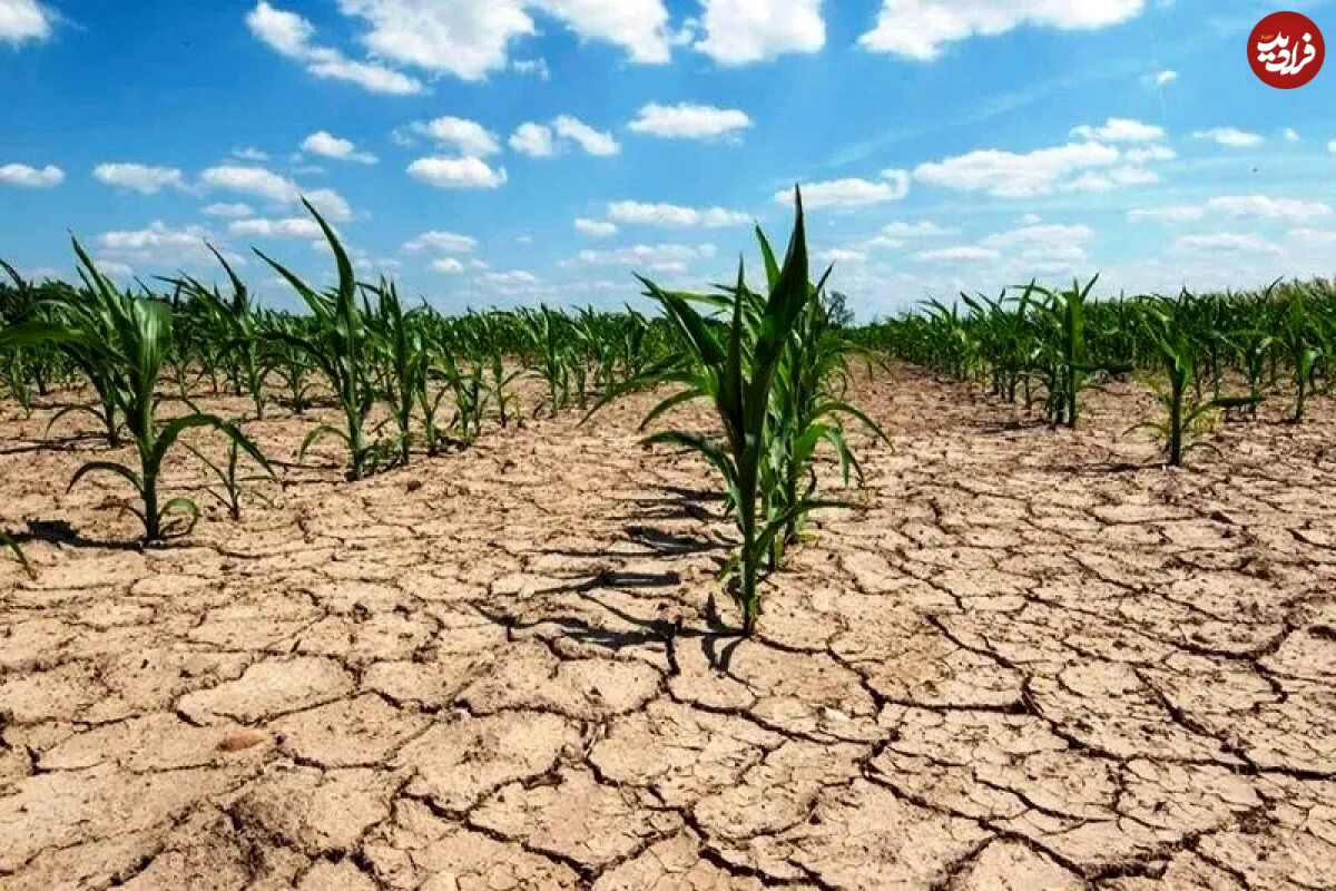 خطر به صفر رسیدن سفره‌های زیرزمینی؛ خشکسالی هولناک در راه است؟!
