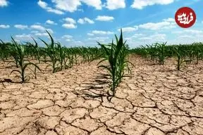 خطر به صفر رسیدن سفره‌های زیرزمینی؛ خشکسالی هولناک در راه است؟!