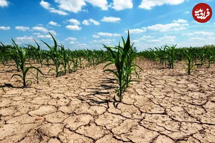 خطر به صفر رسیدن سفره‌های زیرزمینی؛ خشکسالی هولناک در راه است؟!