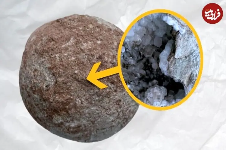 عکس| تخم دایناسور ۷۰ میلیون ساله جای بچه‌دایناسور، پر از بلور بود!