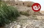عکس| گنجینه‌ای هفت هزار ساله در میان زباله‌ها