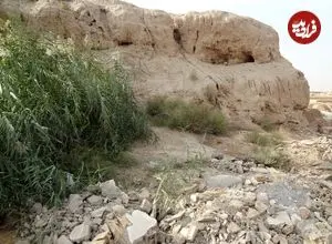 عکس| گنجینه‌ای هفت هزار ساله در میان زباله‌ها