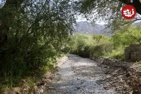 تصاویر| تِجنود؛ معجزه زمردین در قلب کویر خراسان جنوبی