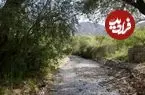 تصاویر| تِجنود؛ معجزه زمردین در قلب کویر خراسان جنوبی