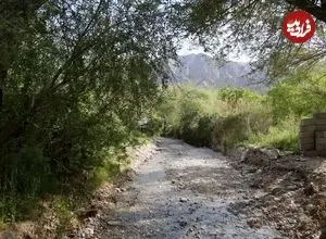 تصاویر| تِجنود؛ معجزه زمردین در قلب کویر خراسان جنوبی