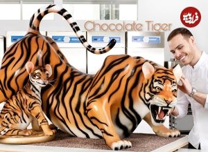 ببییند| مراحل ساخت یک ببر و توله اش در اندازه واقعی با شکلات در آمریکا