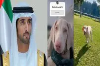 عکس| نامگذاری سگ جدید ولیعهد دُبی با نظر سنجی از 17 میلیون دنبال کننده اینستاگرام