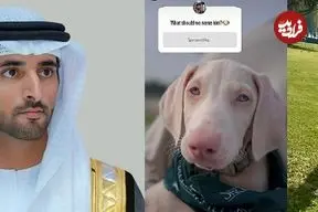 عکس| نامگذاری سگ جدید ولیعهد دُبی با نظر سنجی از 17 میلیون دنبال کننده اینستاگرام