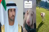 عکس| نامگذاری سگ جدید ولیعهد دُبی با نظر سنجی از 17 میلیون دنبال کننده اینستاگرام