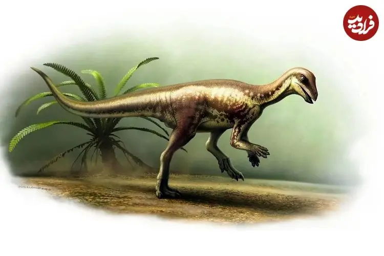 کشف دایناسوری کوچک به اندازه یک گربه خانگی!