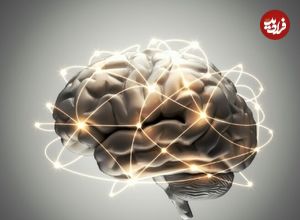وزن شما چه ارتباطی با مغزتان دارد؟