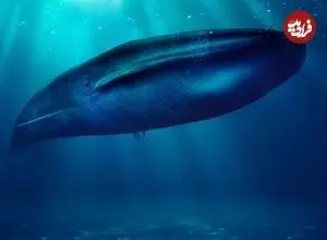 عکس| هیولای غول‌پیکری که فیل در دهانش جا می‌شود 