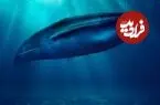 عکس| هیولای غول‌پیکری که فیل در دهانش جا می‌شود 
