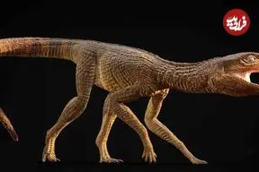 عکس| کشف تمساح ۲۱۵ میلیون ساله