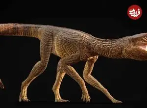 عکس| کشف تمساح ۲۱۵ میلیون ساله