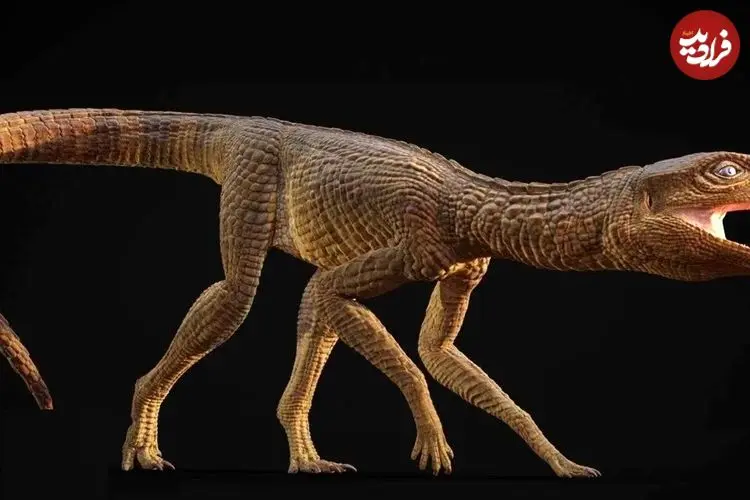 عکس| کشف تمساح ۲۱۵ میلیون ساله