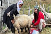 ببینید؛ غذای روستایی در ایران؛ کباب کردن مرغ طعم دار با شیر و ادویه های محلی
