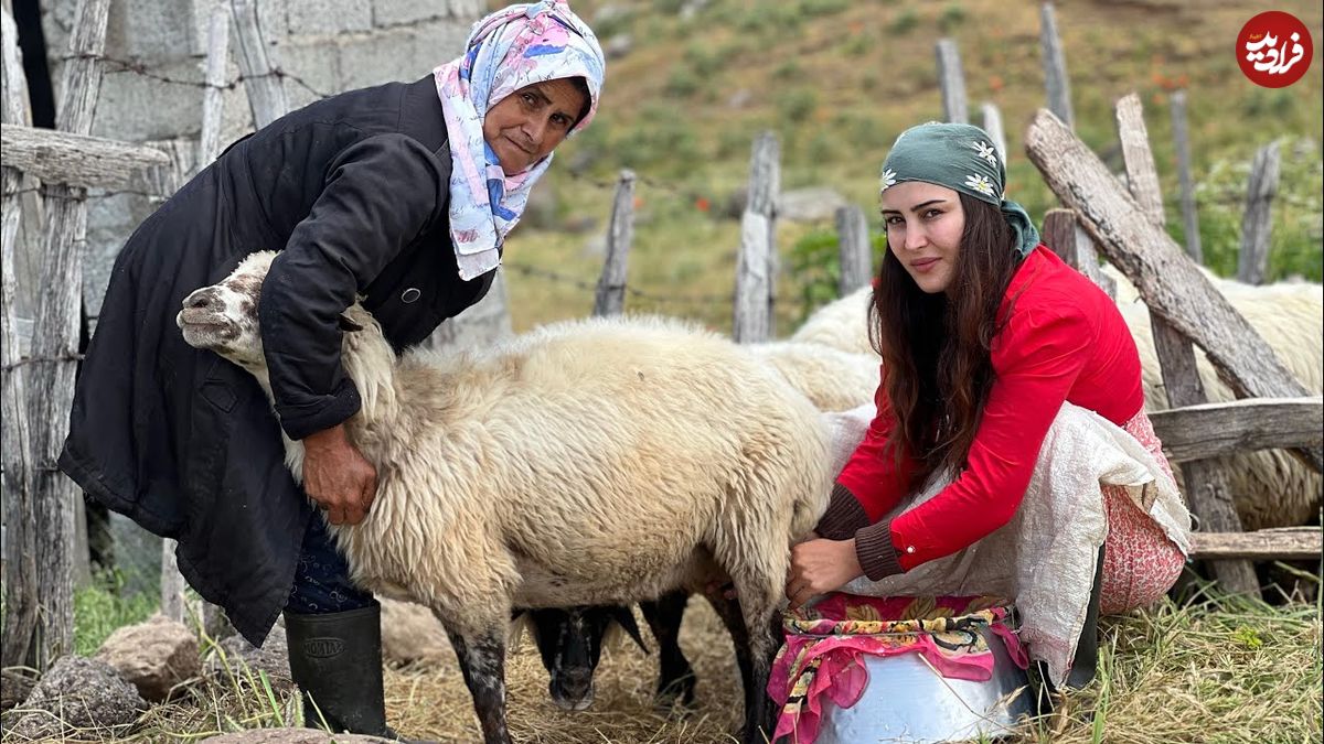 ببینید؛ غذای روستایی در ایران؛ کباب کردن مرغ طعم دار با شیر و ادویه های محلی