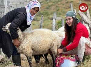 ببینید؛ غذای روستایی در ایران؛ کباب کردن مرغ طعم دار با شیر و ادویه های محلی