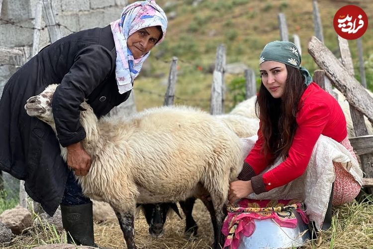 ببینید؛ غذای روستایی در ایران؛ کباب کردن مرغ طعم دار با شیر و ادویه های محلی