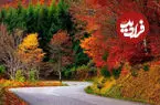پاییز را کجا تماشا کنیم؟ ۶ مقصد رنگارنگ نزدیک تهران