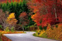 پاییز را کجا تماشا کنیم؟ ۶ مقصد رنگارنگ نزدیک تهران