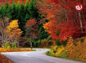 پاییز را کجا تماشا کنیم؟ ۶ مقصد رنگارنگ نزدیک تهران