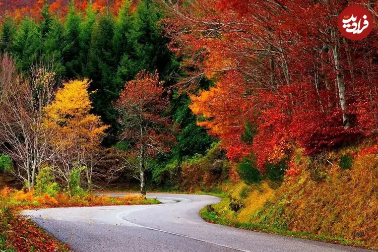 پاییز را کجا تماشا کنیم؟ ۶ مقصد رنگارنگ نزدیک تهران